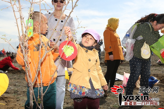 小朋友在小树苗上挂心愿卡。亚心网记者 吕伊晗 摄