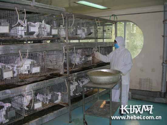华北制药实验动物中心通过河北省科技厅认证