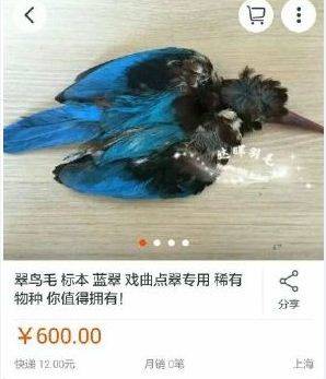 几十万一头，吓得穷人三酱差点栽一跟头。不得不认真审视刘阿姨和网友之争。