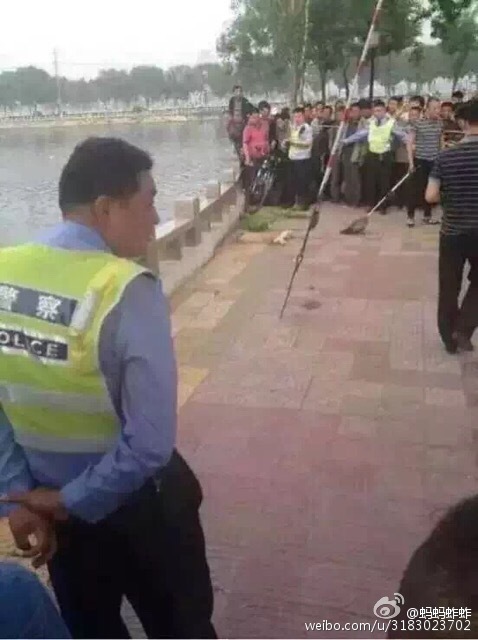 　　开封：警方从包公湖中捞出女性碎尸