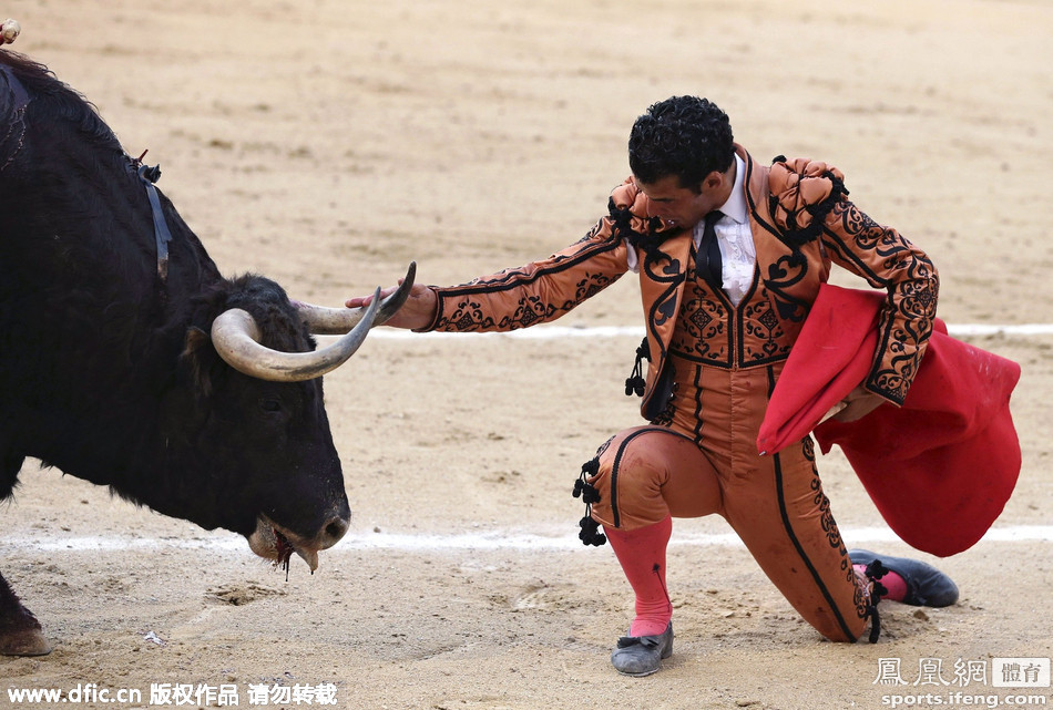 2015年西班牙戈雅斗牛大赛