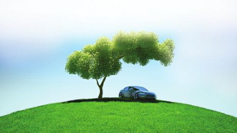 买带牌的车有风险|二手车|号牌