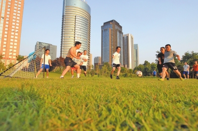 华西村人均收入_郑州市人均生活标准(2)