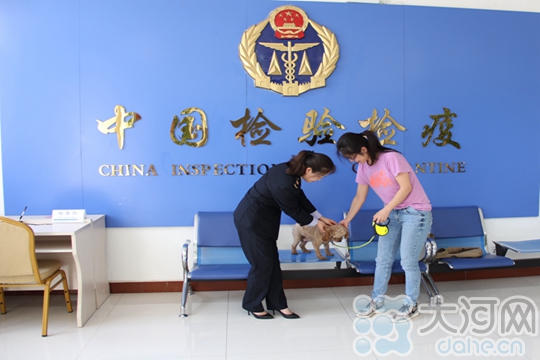 南阳首次办理出境美国伴侣动物检疫证明|出境