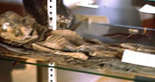 美国发现外星人尸体? 专家:土著儿童干尸(图)|外