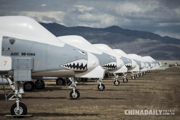 5月13日,A-10雷电攻击机停放在美国亚利桑那州图森市美军戴维斯蒙森空军基地的退役飞机墓地。新华社/法新 美军戴维斯蒙森空军基地的退役飞机墓地占地面积约10.5平方公里,相当于1430个足球场大小,被认为是世界最大军用飞机墓地,也是美国唯一一处退役飞机安置场所。超过4000架退役飞机躺在这里,几乎包括第二次世界大战后美军所有军用飞机机型,所有陈列飞机总价值在350亿美元左右。