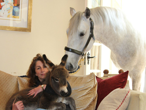 照片中，丽萨怀中抱着她的宠物小驴“厄洛斯”。（网页截图）