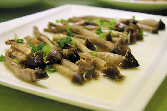 限时的美味:荔枝菌|荔枝|采摘