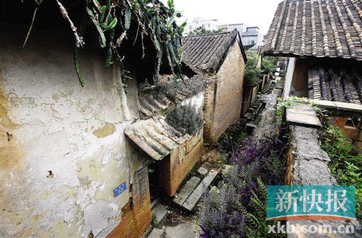 ■花厅坊连接到每户人家、成网状分布的排水沟渠,如今仍流水潺潺。