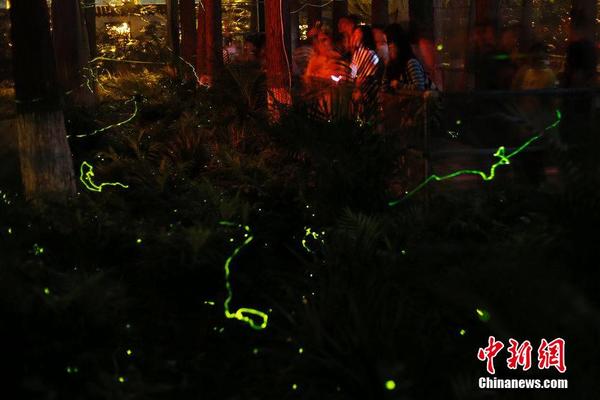6月4日，湖北省武汉市，华中地区首家萤火虫主题公园在东湖牡丹园开放以来，引来上万市民。 图片来源：CFP视觉中国