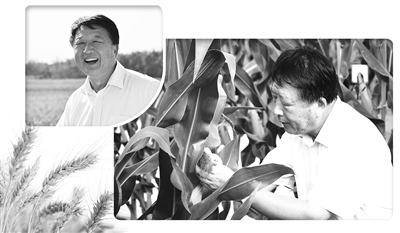 图① 生活中的李登海。 图② 李登海在观察作物生长情况。 王金虎摄