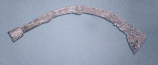 象牙权杖背后的良渚文明|考古|臼齿