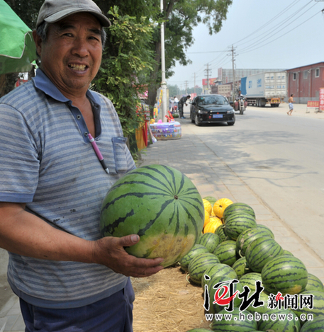 石家庄西瓜价格持续下跌|批发价格|西瓜