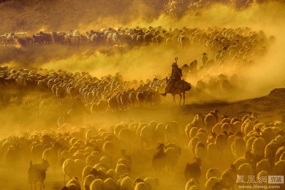 土耳其牧人赶羊的壮观景象-中国学网-中国IT综