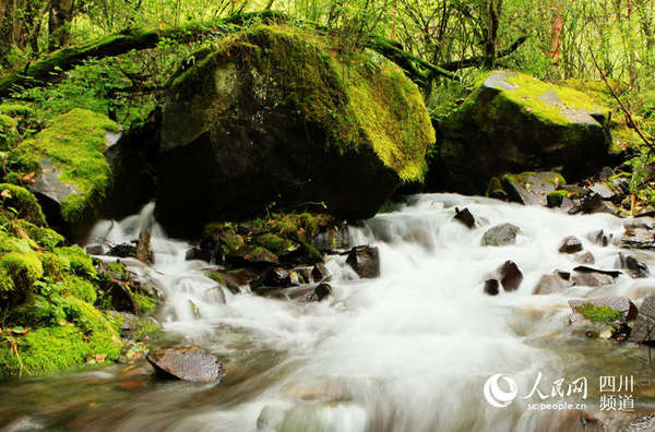 图为i额松坪沟的珍珠瀑布，与旁边的彩林相映成辉，令人心旷神怡。（陈永斌 摄）