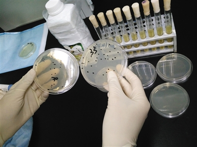 “暴利”诱惑下现挤牛奶违规售卖奶贩子出没其