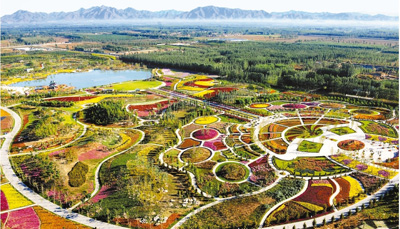 现代农业科技创新龙头舞起来|农业|农业科技