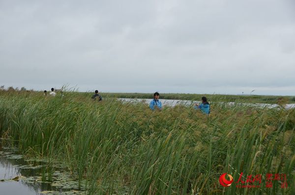 人在画中游。杨海全 摄