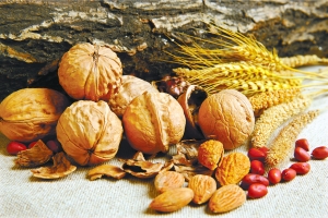 伍仁,请别离开月饼界|月饼|原条