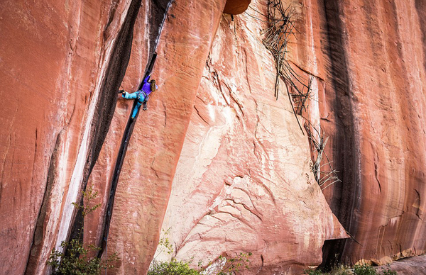 瑞海儿喜欢攀爬各种类型的峭壁裂缝。（网页截图）