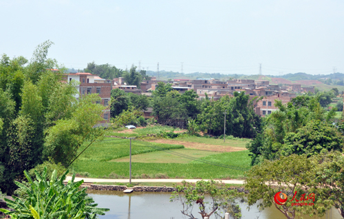 原邕宁那莲乡蒋村、四美村（今南宁市邕宁区蒲庙镇新新村委一带）村貌