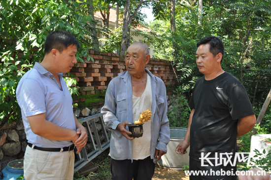 迁安古稀老人挖得怪状蘑菇形似肉灵芝|老人