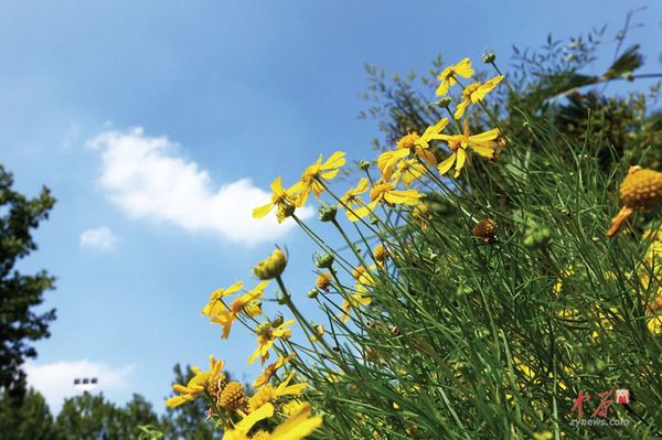 碧沙岗公园北门