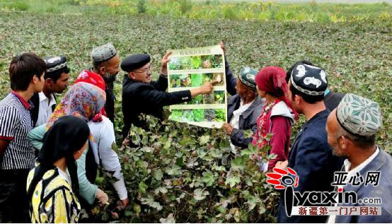 新疆地税局启动农牧业科技扶贫培训项目|技能