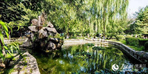 人民网黑龙江频道我和校园有个约会主题摄影