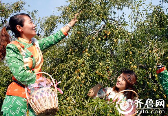 沾化冬枣走向国际 出口迪拜、新加坡创汇200多