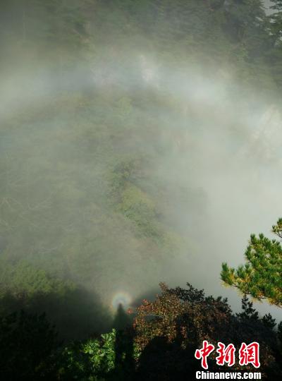 黄山风景区惊现双佛光。李金刚摄