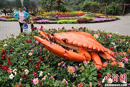 9月24日，市民在北京圆明园内游园赏花。中新社发 熊然 摄