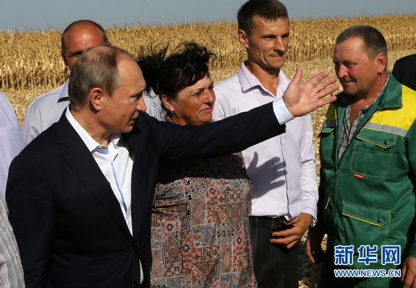 当地时间2015年9月24日，俄罗斯Rostov，俄罗斯总统普京造访当地，与农民互动。来源：CFP