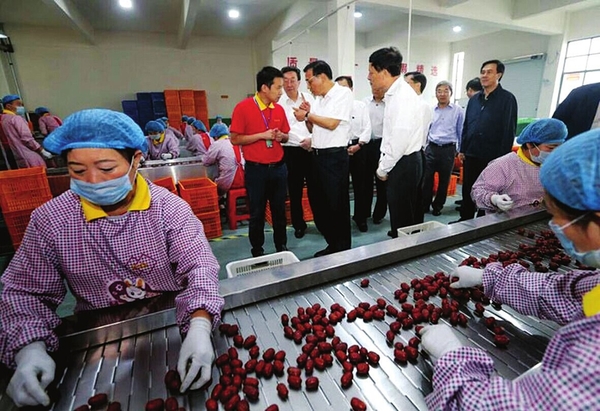 孟庄农民创业园内，工人们正在对红枣进行分级筛选