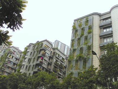 淡雅而绿意盎然的福州鼓楼庆城社区。