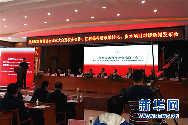 黑龙江省树莓协会成立大会现场。