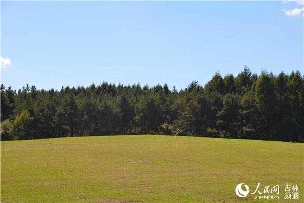 27日，长春净月潭风景区内，广阔的草坪。张帅 摄