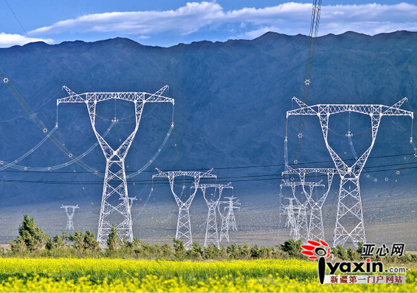 油菜田里的塔群。(资料图片)国网新疆电力公司供图