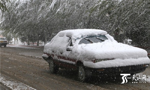 9月29日上午，汽车在雪中前行。