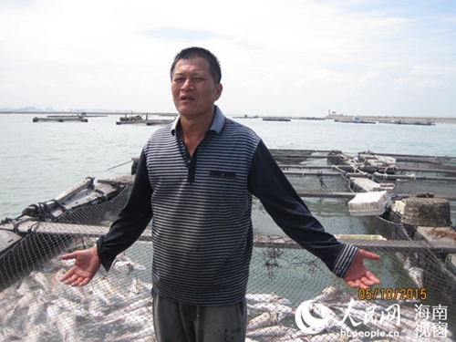 欲哭无泪的养殖户