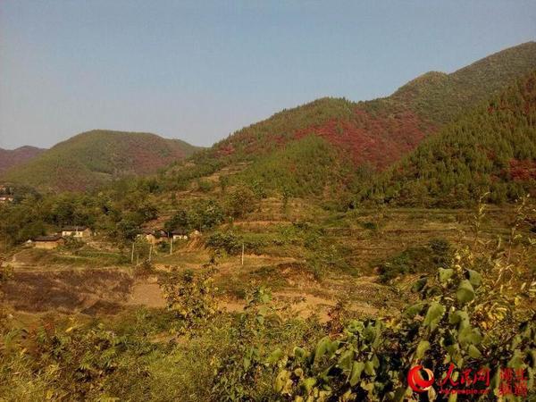 隐藏于火红秋叶下的南化塘镇玉皇山村人家