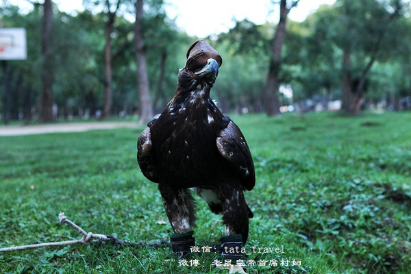 蒙古国正宗的石头烤肉(蒙古国连载3) <wbr>