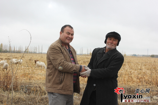 牧民图尔森紧紧握住居汉的双手致谢