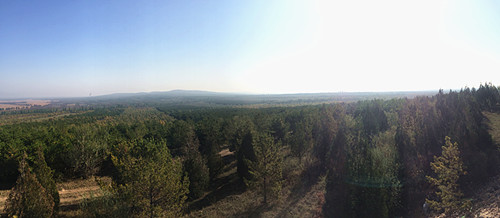 山西杨树局金沙滩林场（白鸿滨 摄）