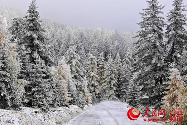 芦芽山雪景 （曹建国 梁海宏 摄）