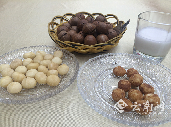 2020年云南省种植澳洲坚果将达400万亩|澳洲