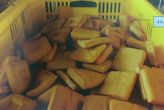 （屏东地检署提供）