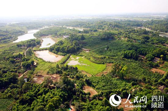 朱山岭鸟瞰图。(新津县委宣传部供图)