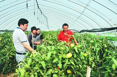 昆明和平村海鲜市场_海鲜市场_和平村海鲜(3)