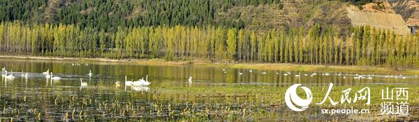 （图说中国 杨冯彦摄）